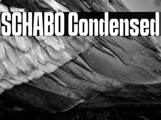 SCHABO Condensed फ़ॉन्ट examples