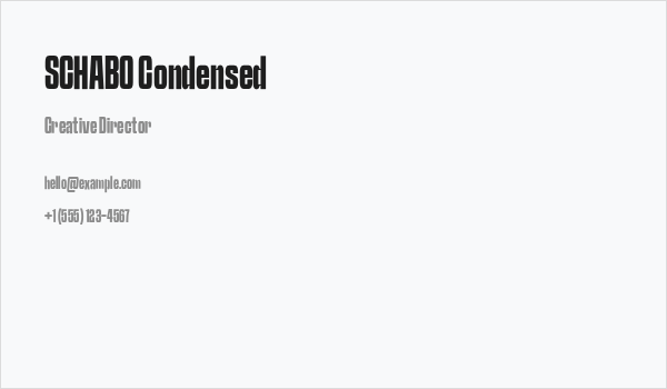 SCHABO Condensed Business Card