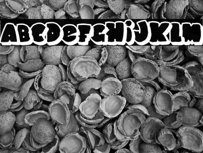 SCHOOL DAYS 2 PERSONAL USE Regular Font examples