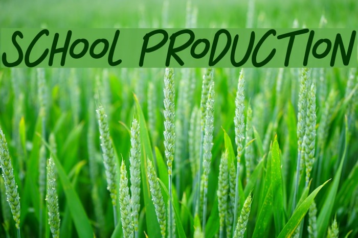 SCHOOL PRODUCTION Font examples