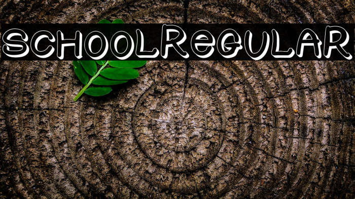 SCHOOL-Regular Example 1