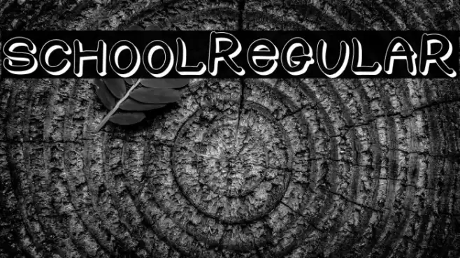 SCHOOL-Regular Font examples
