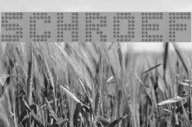 SCHROEF Font examples