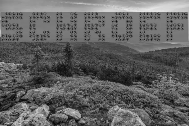 SCHROEF Font examples