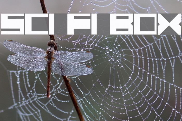 SCI FI BOX Example 1