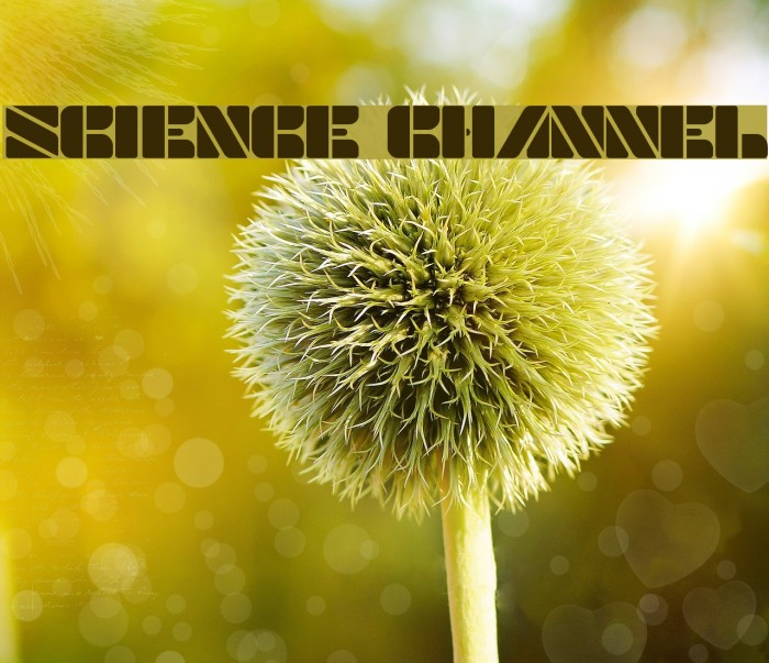 SCIENCE CHANNEL Font examples