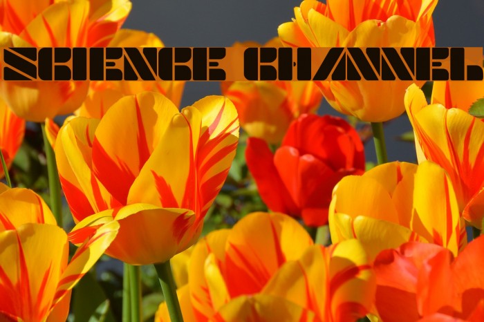 SCIENCE CHANNEL Example 1