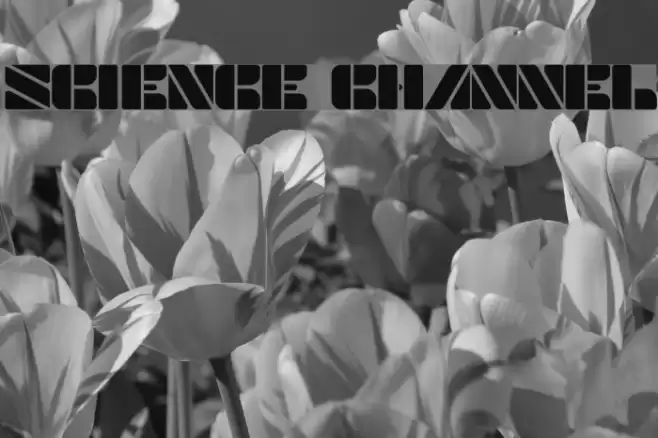 SCIENCE CHANNEL Font examples