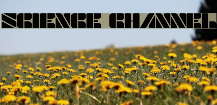 SCIENCE CHANNEL Example 2