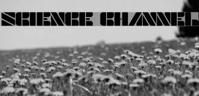 SCIENCE CHANNEL Font examples