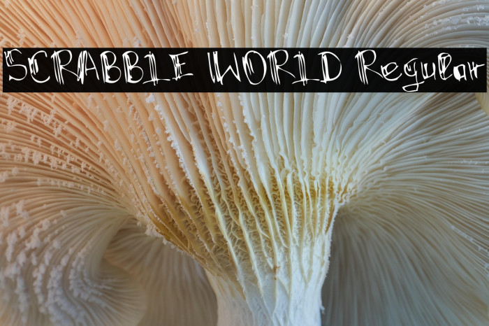 SCRABBLE WORLD Regular Example 3