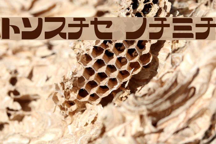 SCRAP KANA Font examples