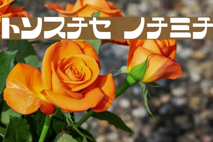 SCRAP KANA Font examples