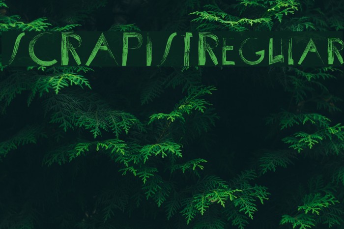 SCRAPIST-Regular Example 1