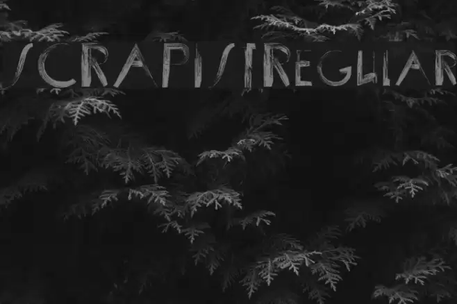 SCRAPIST-Regular Font examples