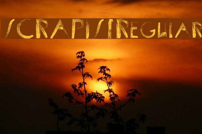 SCRAPIST-Regular Example 3