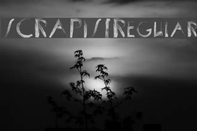 SCRAPIST-Regular Font examples