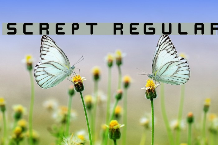 SCREPT Regular Font examples