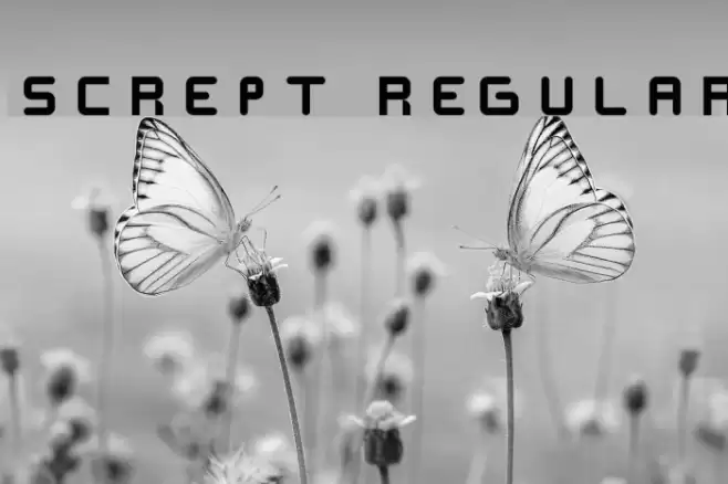 SCREPT Regular Font examples