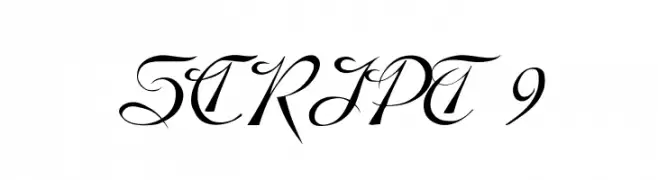 SCRIPT 9 