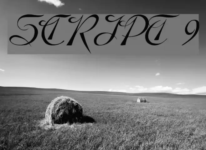 SCRIPT 9 examples