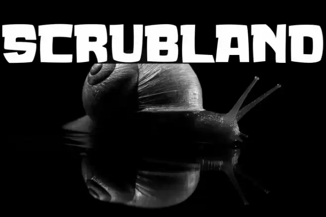 SCRUBLAND Font examples