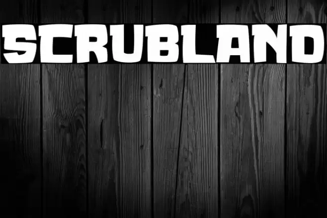 SCRUBLAND Font examples