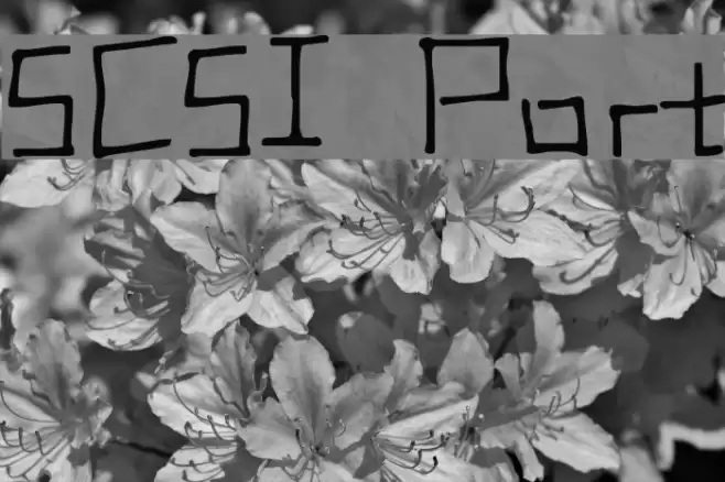 SCSI Port Font examples