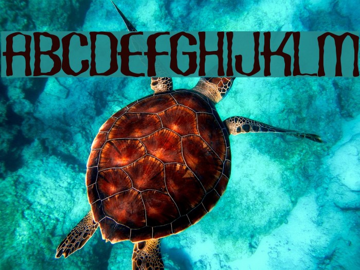 Scaberous Font examples