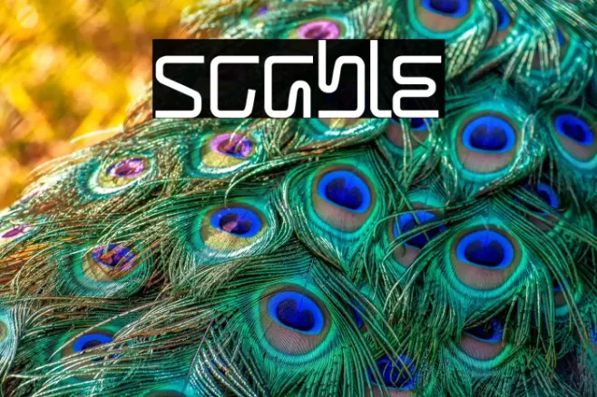 Scable Example 3