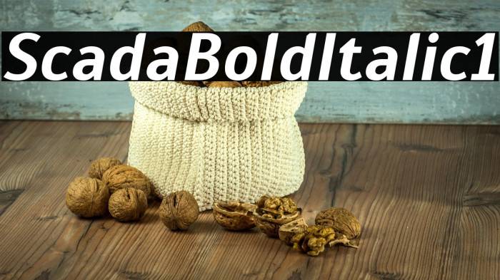 Scada Bold Italic1 Example 1