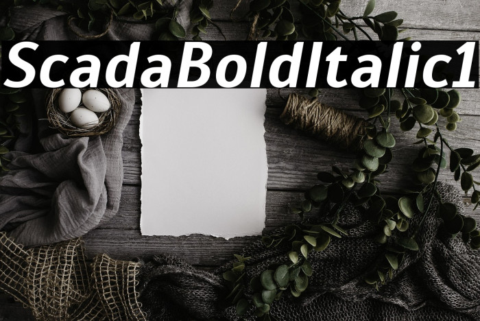 Scada Bold Italic1 Example 2