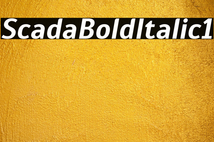 Scada Bold Italic1 Example 3