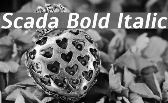 Scada Bold Italic Font examples