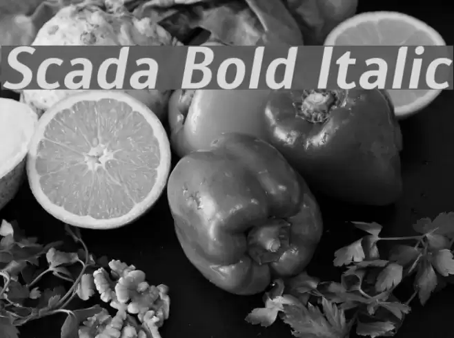 Scada Bold Italic Font examples