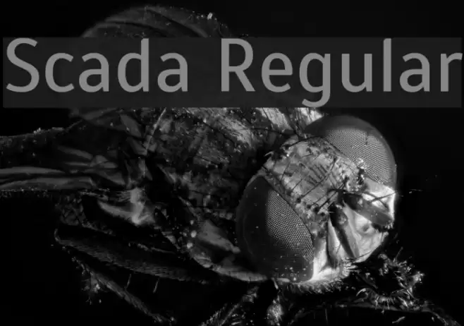 Scada Regular Font examples
