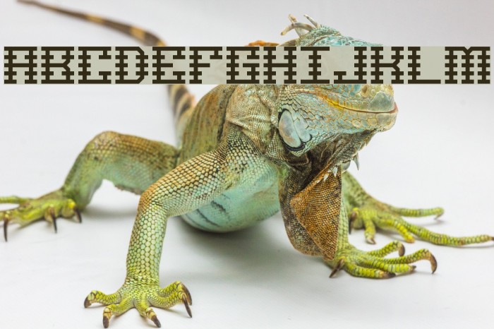 Scalelines BRK Font examples
