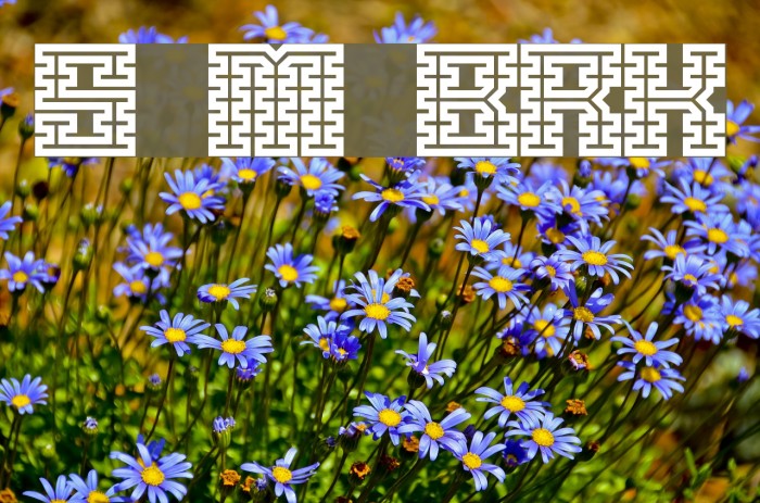 Scalelines Maze BRK Fonte examples