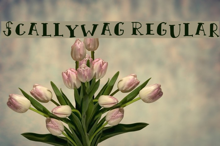 Scallywag Regular Example 1