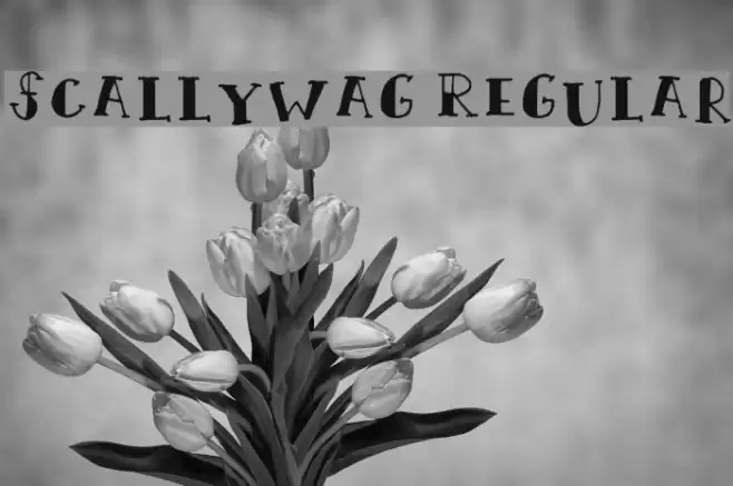Scallywag Regular Font examples