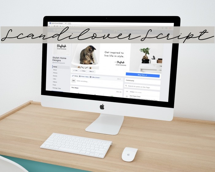 ScandiloverScript Font examples