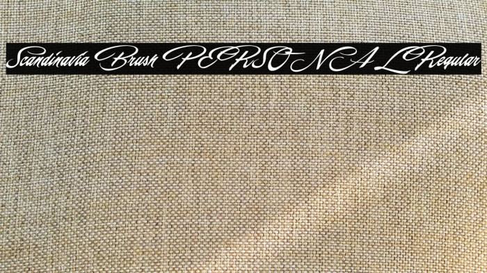 Scandinavia Brush PERSONAL Regular Example 2