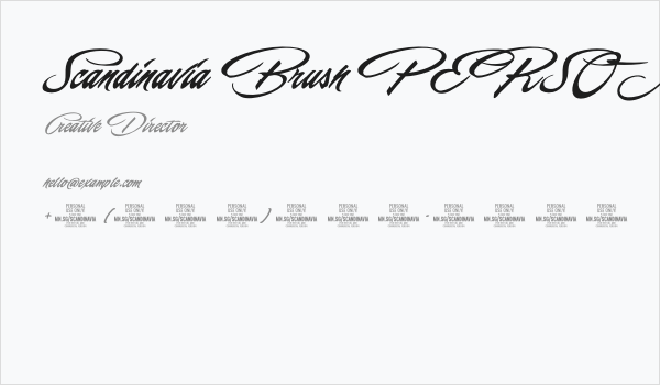 Scandinavia Brush PERSONAL Regular Business Card