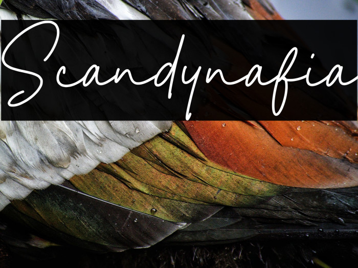 Scandynafia Example 2