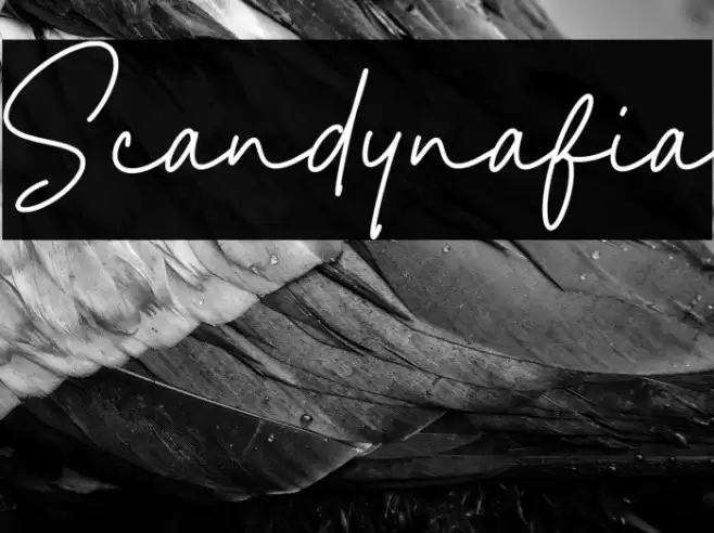 Scandynafia Font examples