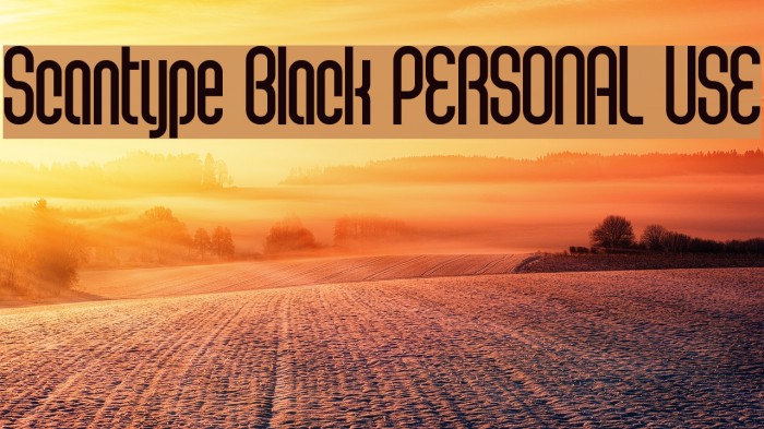 Scantype Black PERSONAL USE Font examples