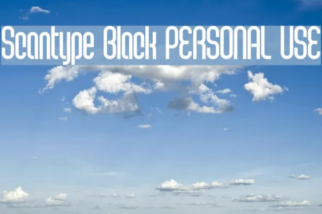 Scantype Black PERSONAL USE Example 3