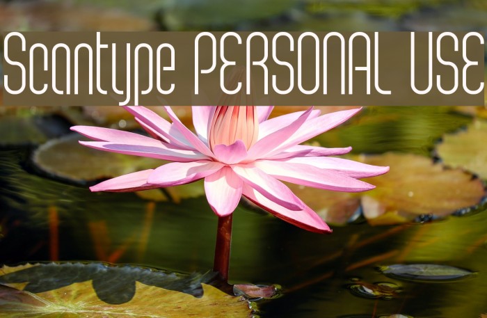 Scantype PERSONAL USE Font examples