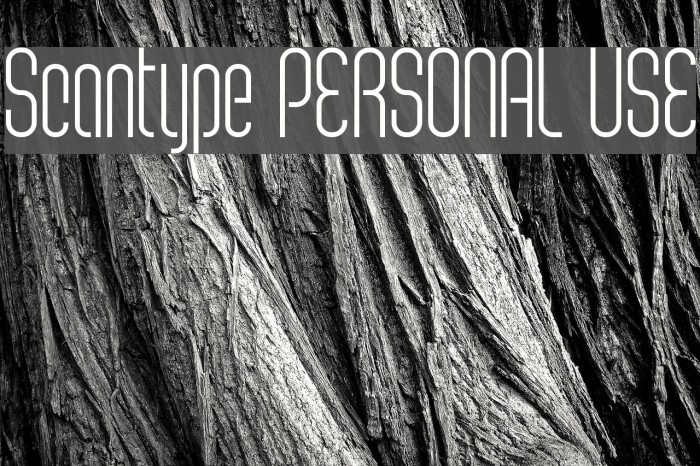Scantype PERSONAL USE Font examples