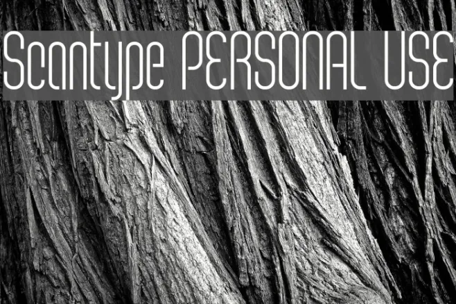 Scantype PERSONAL USE Example 3